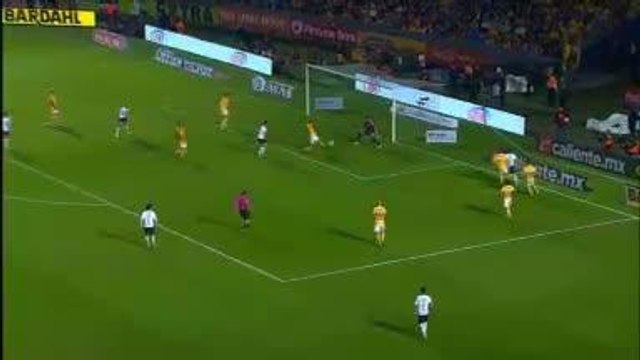 Mexique - Les Tigres de Gignac prennent une option