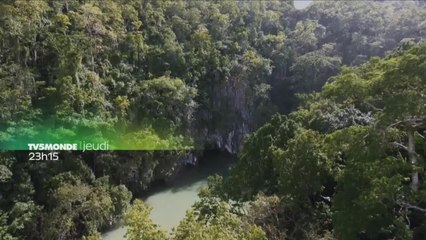 Dans le secret des sources : Etosha, le pays de l'eau sèche / Palawan, la rivière mystérieuse
