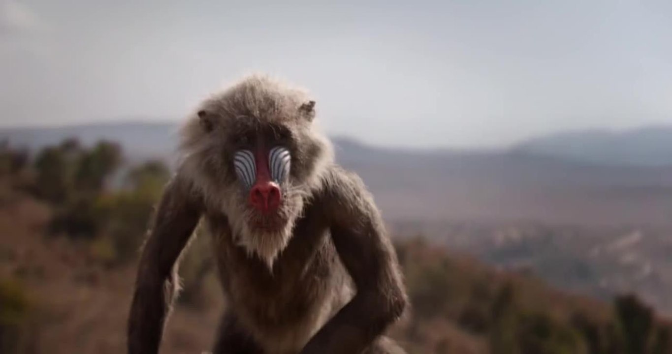 Le roi lion