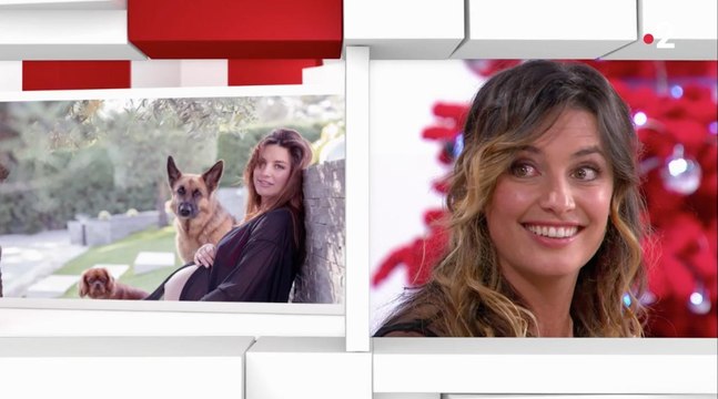 Laëtitia Milot raconte comme elle a préparé chiens et chat à l'arrivée de son bébé… Et ça a super bien fonctionné !