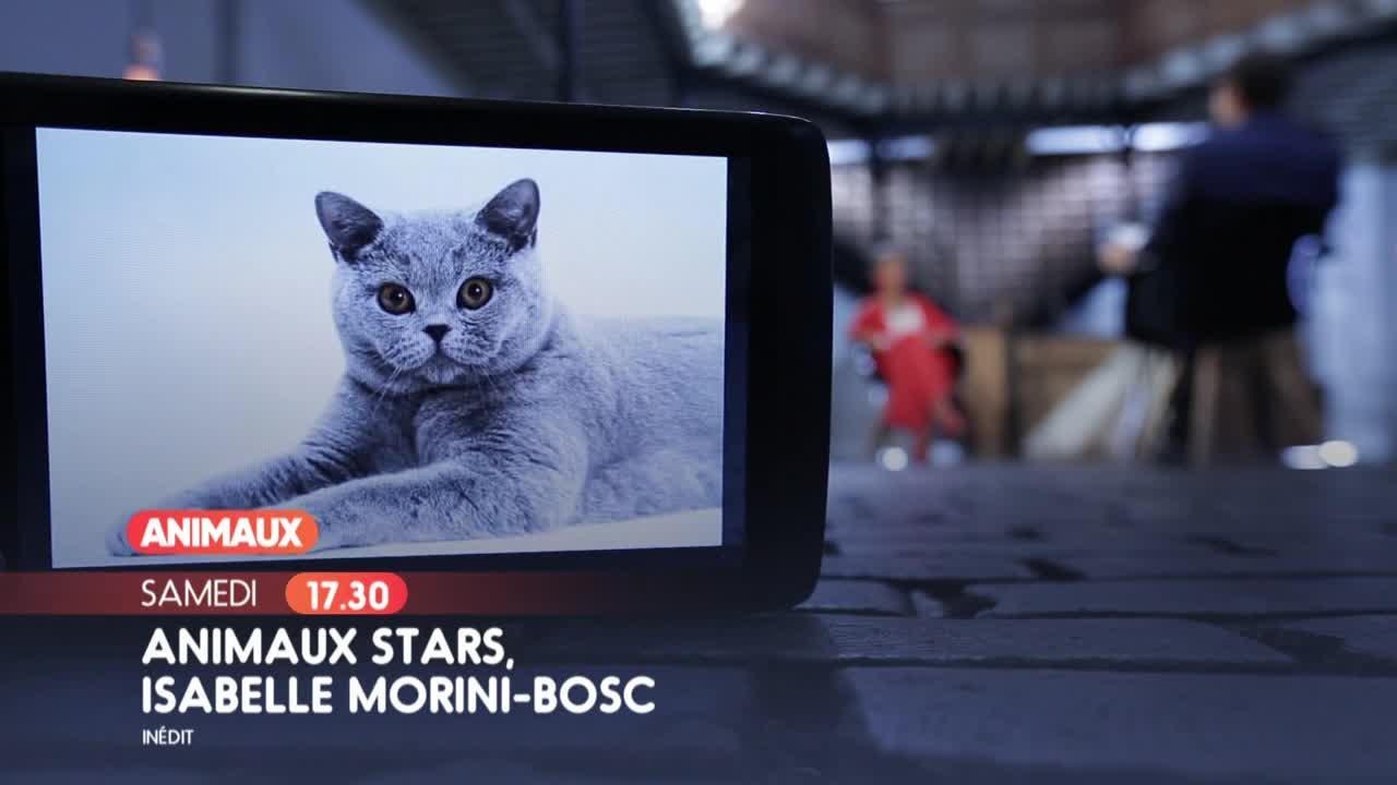 Animaux stars : Isabelle Morini-Bosc