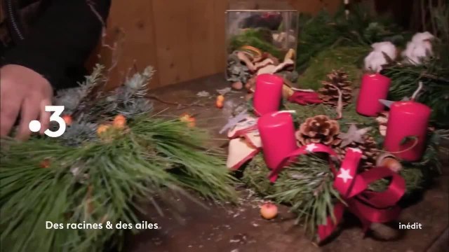 Des racines et des ailes : Passion patrimoine : Un hiver en Alsace