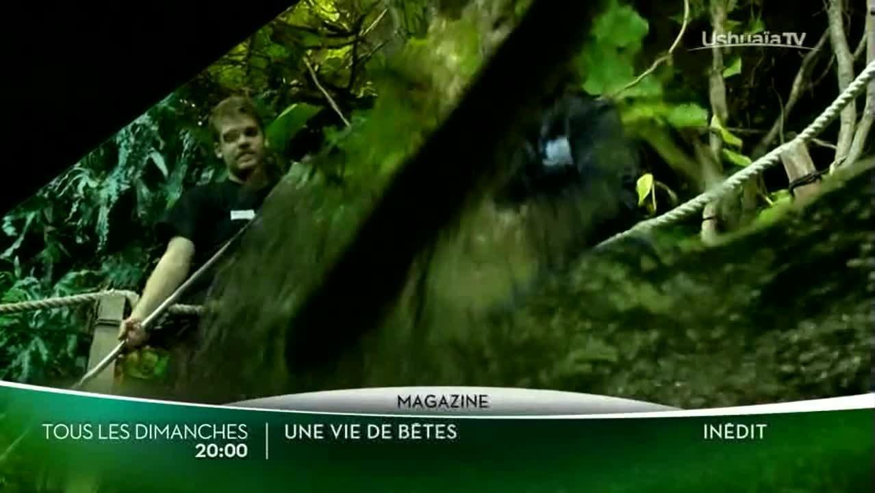 Une vie de bêtes