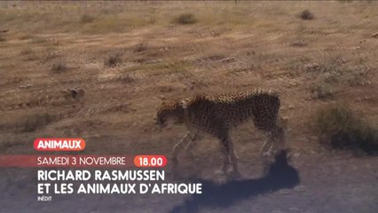 Richard Rasmussen et les animaux d'Afrique