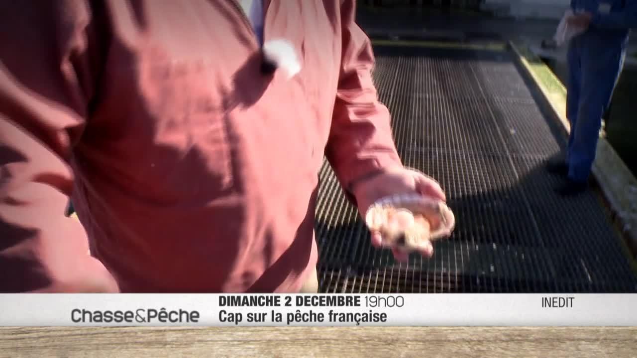 Cap sur la pêche française
