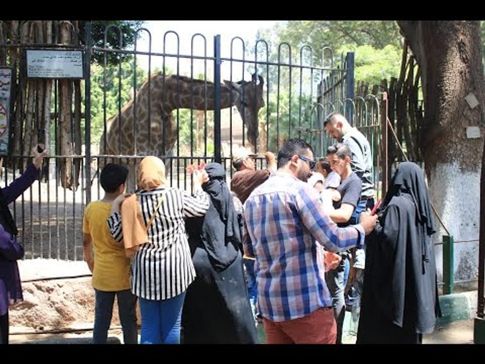 التذكرة بـ5 جنيه.. حديقة الحيوان تستقبل الجمهور...