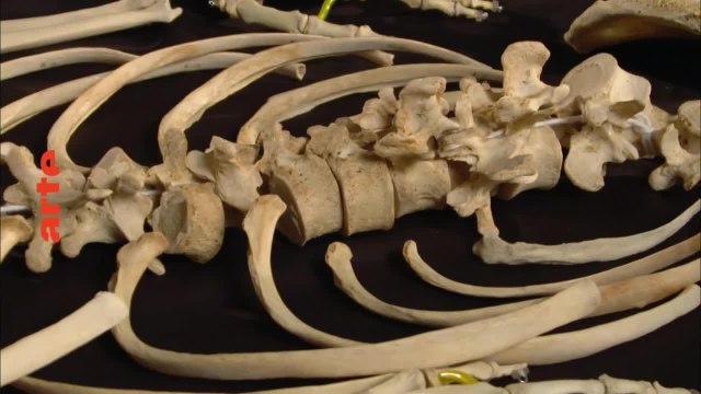 Une épave de l'expédition Franklin retrouvée dans l'Arctique - 24 novembre