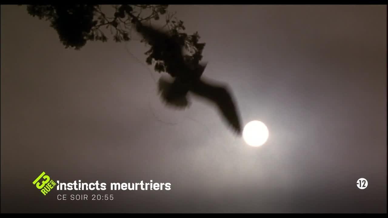 Instincts meurtriers