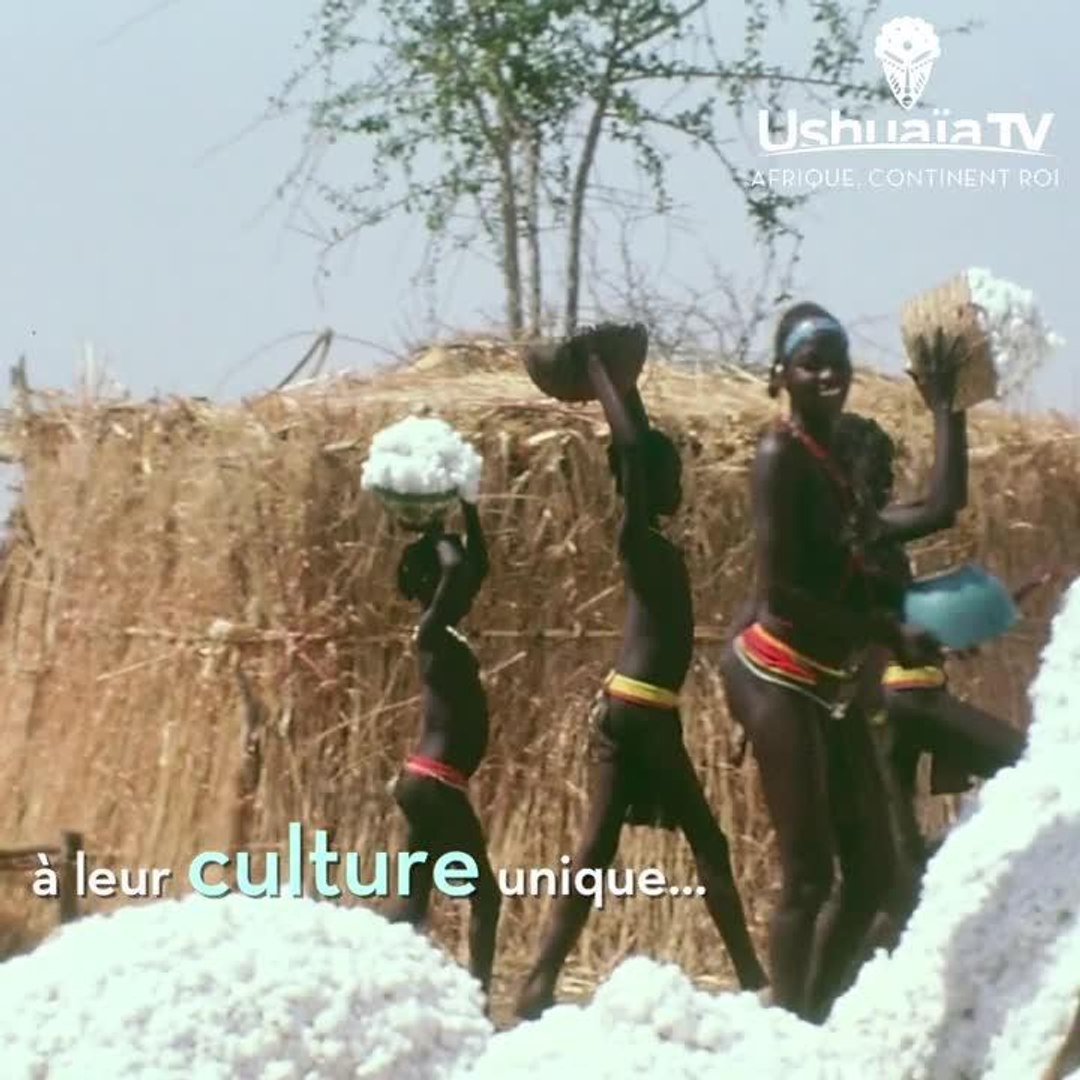 Noubas, une mémoire africaine