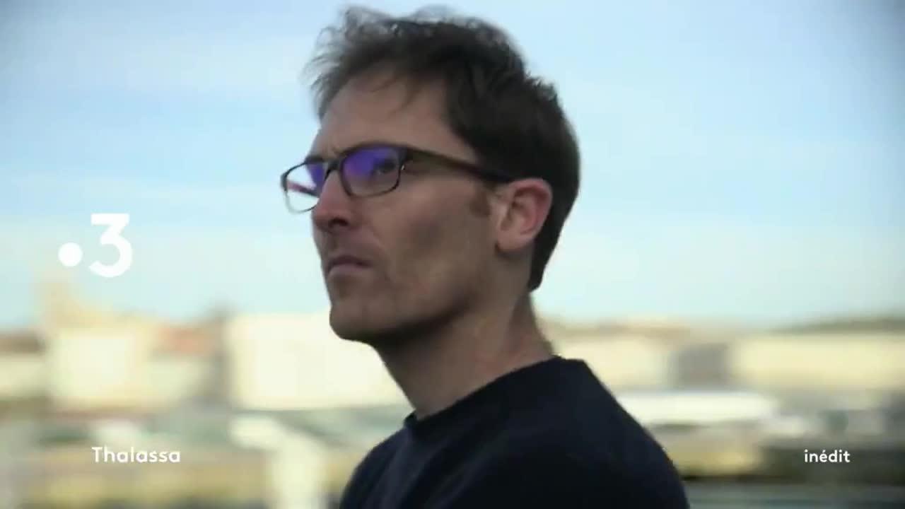 Thalassa : De Boulogne à Calais : les aventuriers du détroit