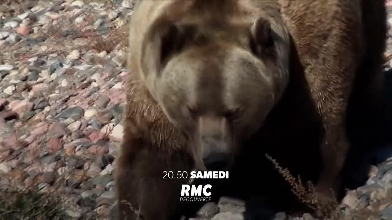 Into The Wild : Alaska - Saison 2
