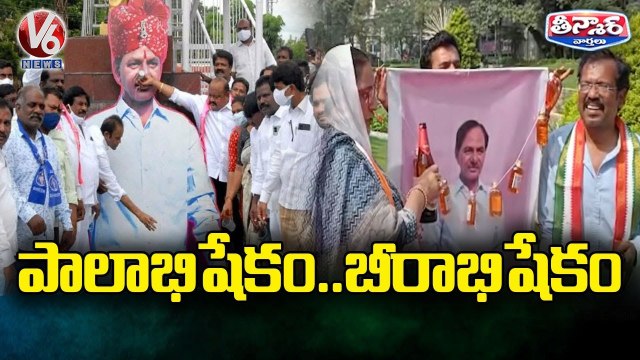 Ministers, TRS MLAs Performs Palabhishekam to CM KCR Portraits | V6 Teenmaar