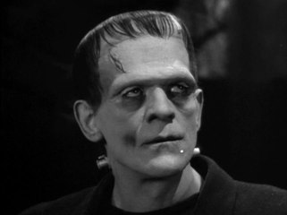 Le funeste destin du docteur Frankenstein