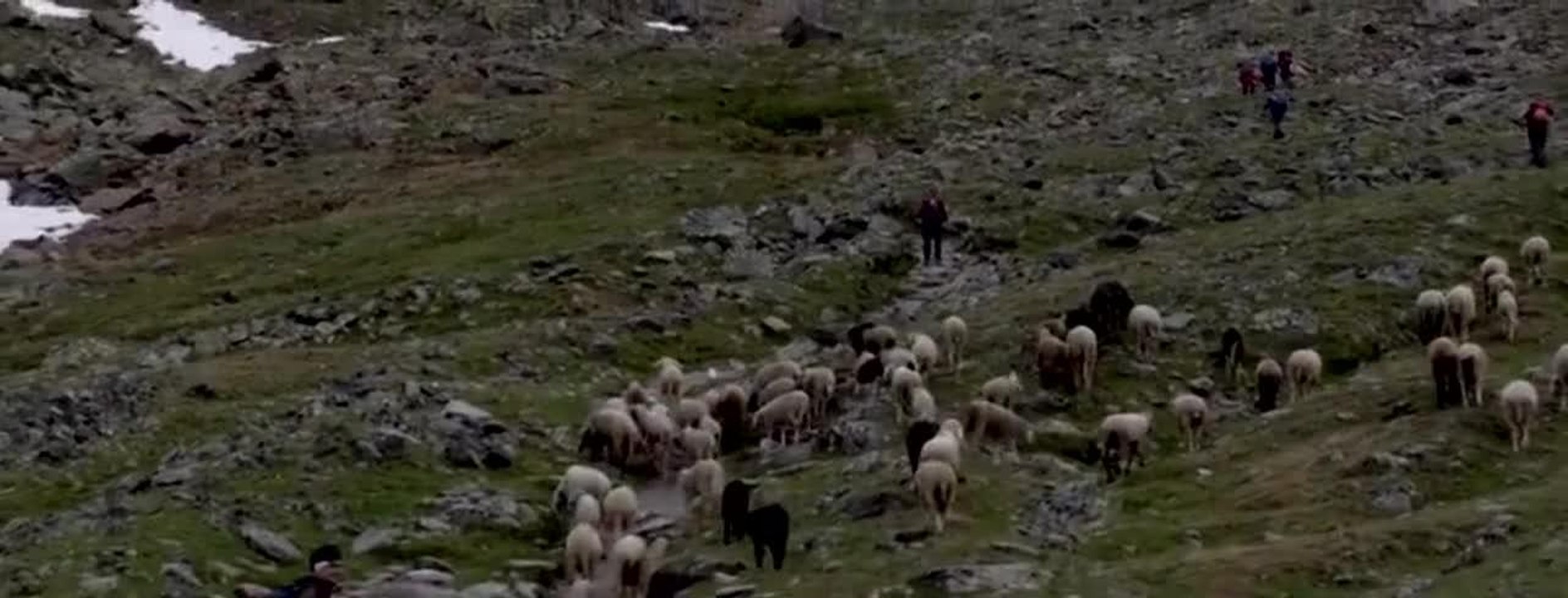 Faut pas rêver : Dans les Alpes : sur le toit de l'Europe