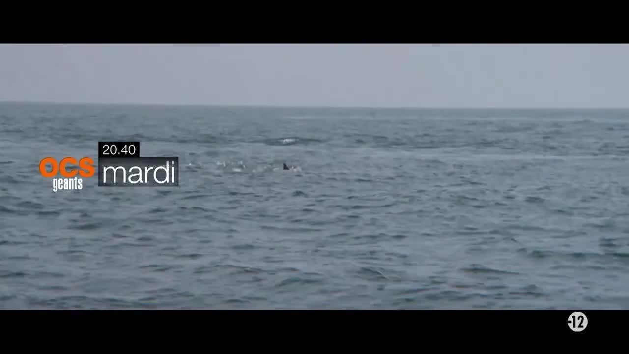 Les dents de la mer