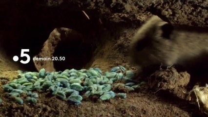 Un jardin entre deux mondes - 30 octobre