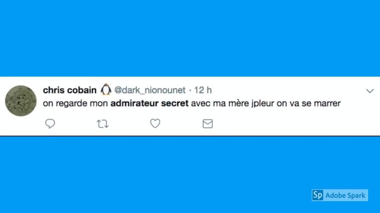 Fou rire, larmes... Mon admirateur secret partage les internautes !