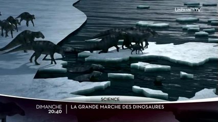 La grande marche des dinosaures