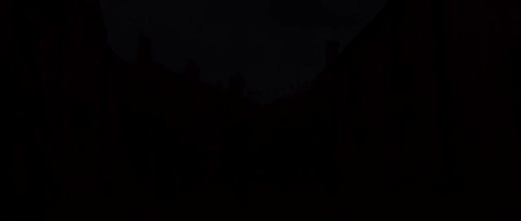 Cheval de guerre