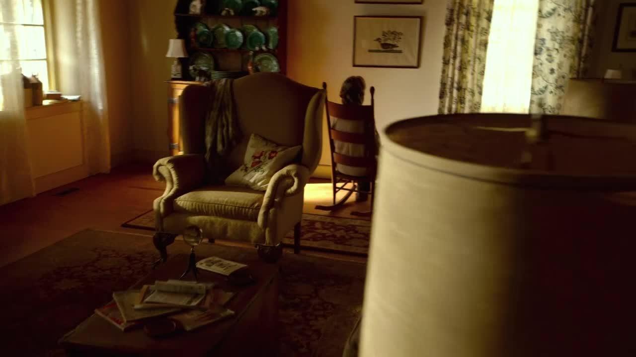 The Visit