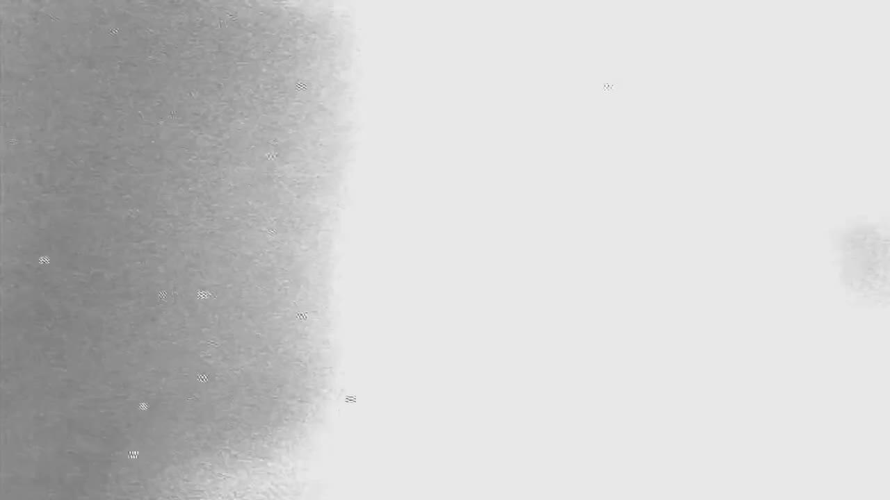 Gus, petit oiseau grand voyage