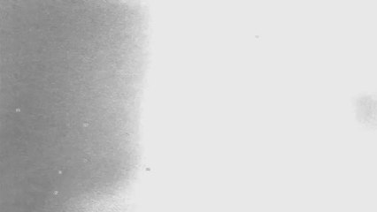 Gus, petit oiseau grand voyage