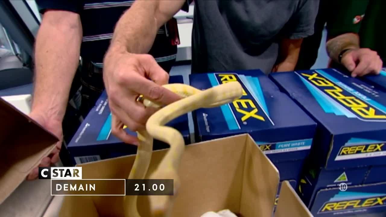 Douanes sous haute surveillance - 23 octobre