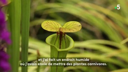 Silence, ça pousse ! : Elie Semoun