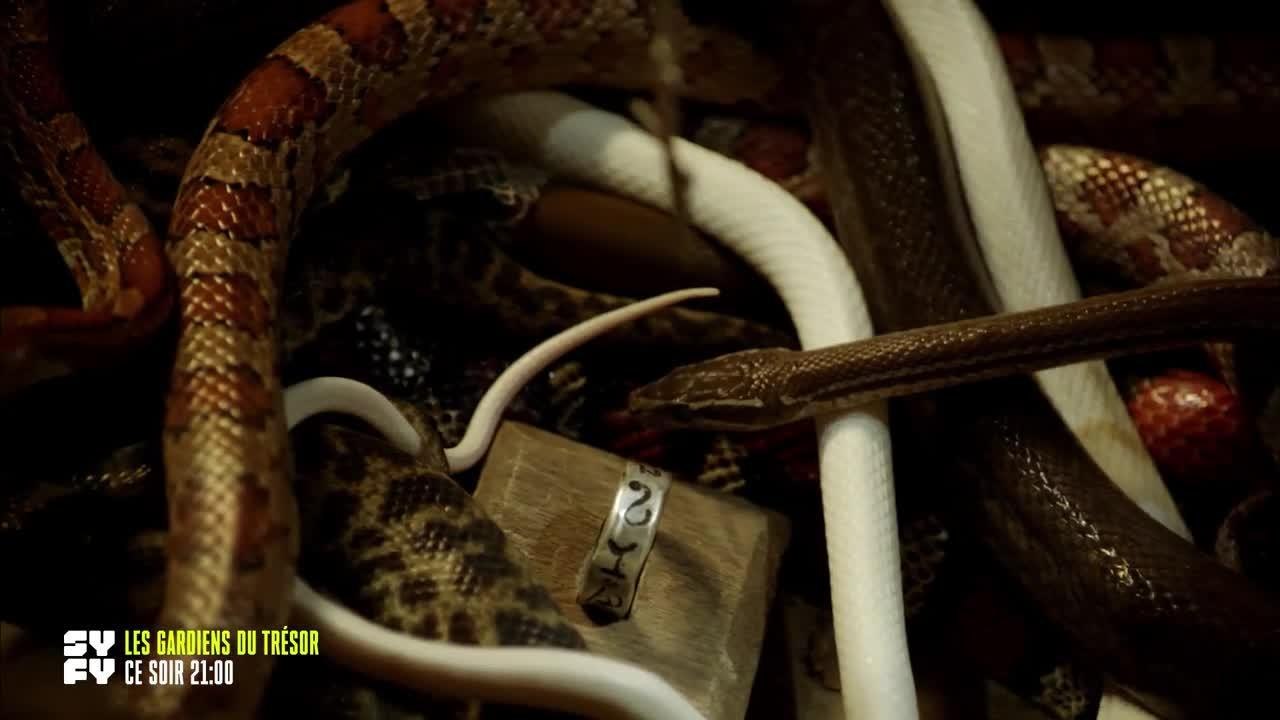 Les gardiens du trésor