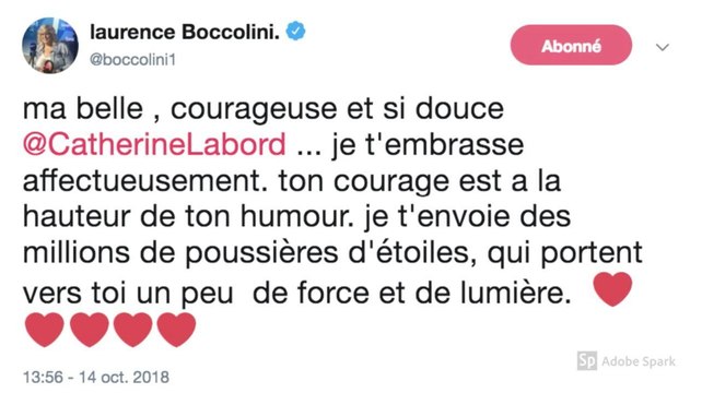 Catherine Laborde atteinte de Parkinson : Laurence Boccolini, Nikos Aliagas, Faustine Bollaert, Christophe Dechavanne et bien d'autres affichent leur soutien sur Twitter