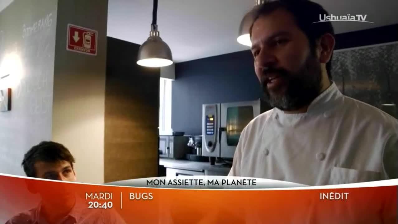 Bugs
