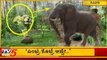 ಆನೆಗಳ ಹಾವಳಿಗೆ ಬಿಗ್ ಮಾಸ್ಟರ್ ಪ್ಲಾನ್ | Big Master Plan to Avoid Elephants | TV5 Kannada