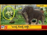 ಆನೆಗಳ ಹಾವಳಿಗೆ ಬಿಗ್ ಮಾಸ್ಟರ್ ಪ್ಲಾನ್ | Big Master Plan to Avoid Elephants | TV5 Kannada
