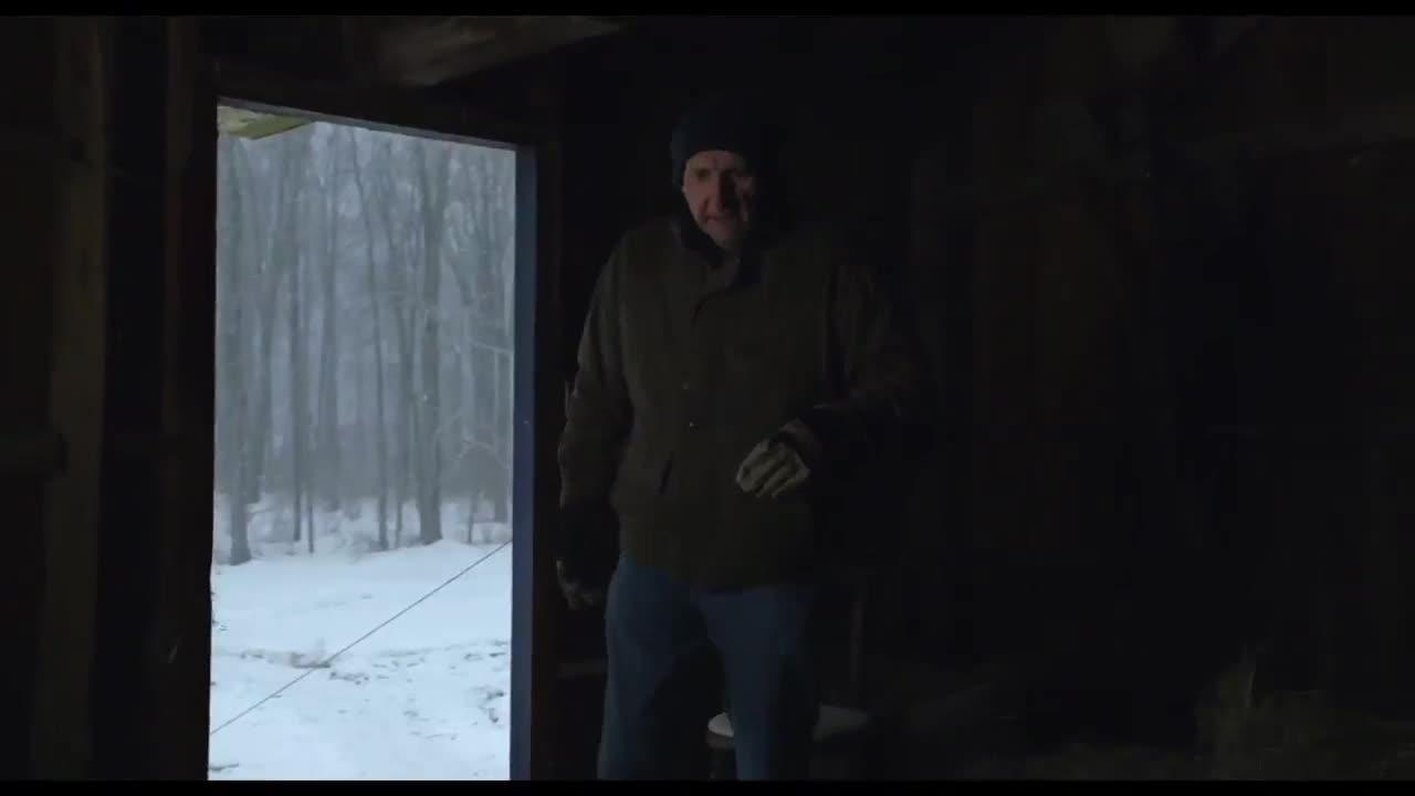 The Visit