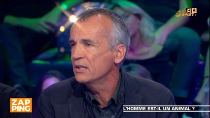 "Taisez-vous !" : débat houleux autour de la cause animale dans Les Terriens du samedi