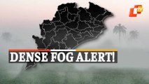 Weather Update: IMD Issues Yellow Warning For Dense Fog In Several Districts Of Odisha
