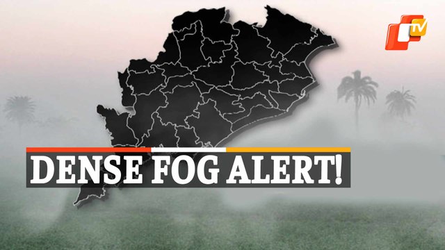Weather Update: IMD Issues ‘Yellow Warning’ For Dense Fog In Several Districts Of Odisha
