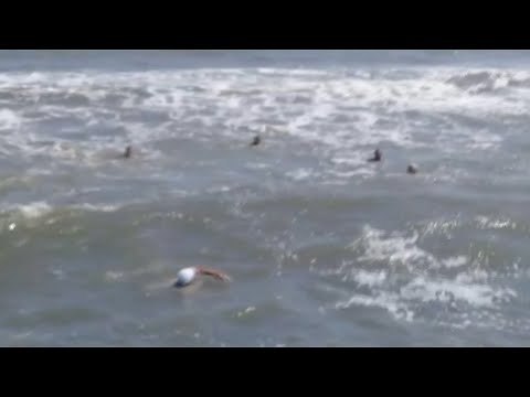 8 فرق إنقاذ تبحث عن جثمان طالب غرق بمصيف بلطيم