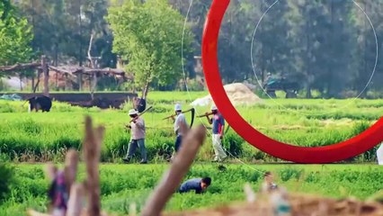 ...حسب الشقاق التي فيها الى ستة أقسام . ومن...