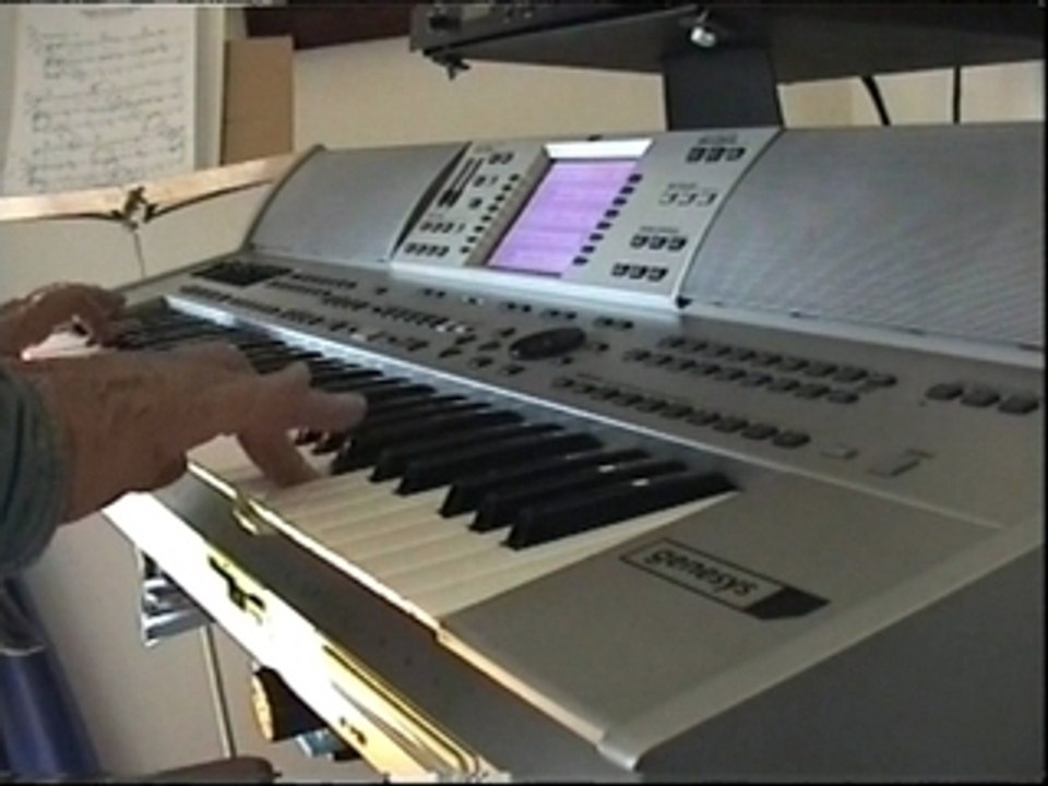 GEM GENESYS - Démo Unplugged - Maxime Le Forestier