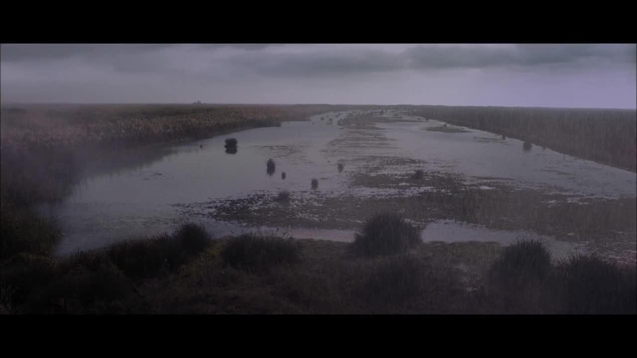 La isla mínima