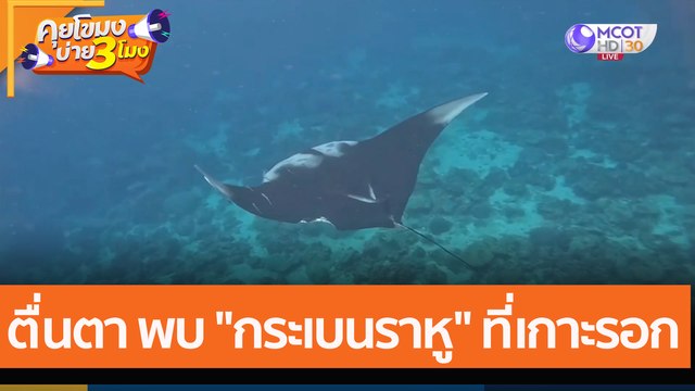 ตื่นตา พบ กระเบนราหู ที่เกาะรอก (4 ม.ค. 65) คุยโขมงบ่าย 3 โมง