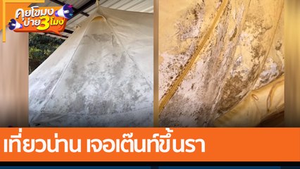 เที่ยวน่าน เจอเต๊นท์ขึ้นรา (4 ม.ค. 65) คุยโขมงบ่าย 3 โมง