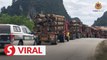 JPJ vehicles escorting timber lorries in Kelantan part of special operation