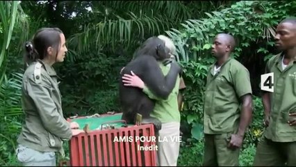 Amis pour la vie : quand l'homme et l'animal sauvage s'apprivoisent