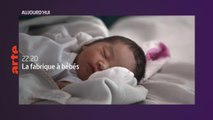La fabrique à bébés - 25 septembre