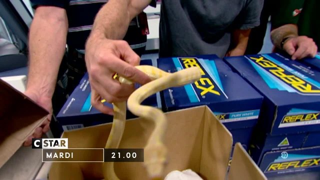 Douanes sous haute surveillance: 0