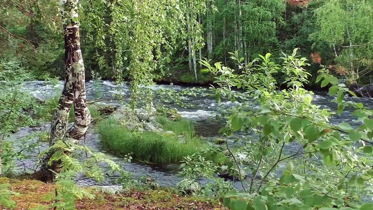 Asmr environmental and nature sounds to relax (river 5) / Asmr sonidos ambientales y de la naturaleza para relajarte (río 5)