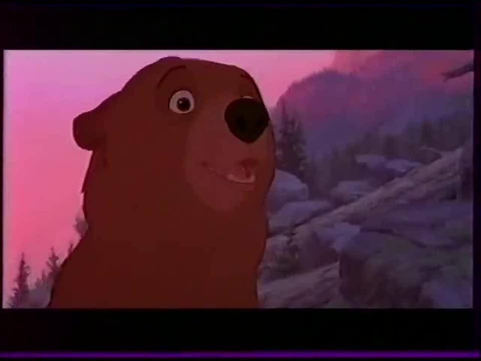 Frère des ours