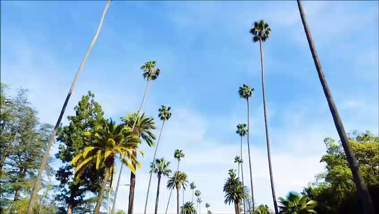 Law & Order: True Crime Saison 1 - Trailer (EN)